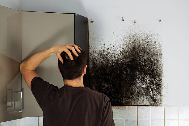 Best Commercial Mold Removal  in Suffern, NY